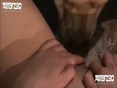 Pet paramour receives peculiar loving 